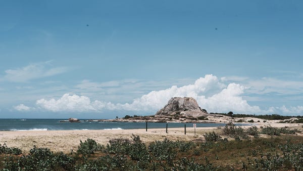 a photo of a beach, the national park is on the shore of southeastern sri lanka, there are shrubs and small trees, a rocky outcropping on the beach in the distance, it is sunny, blue sky, clouds in the sky 