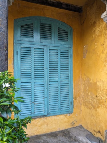 A shuttered window set in a mustard yellow painted plaster wall. The shutters are faded blue, with four tall vertical sections below, and three above, which together form an arch. A jasmine plant blooms round a column in the lower left corner of the frame. 