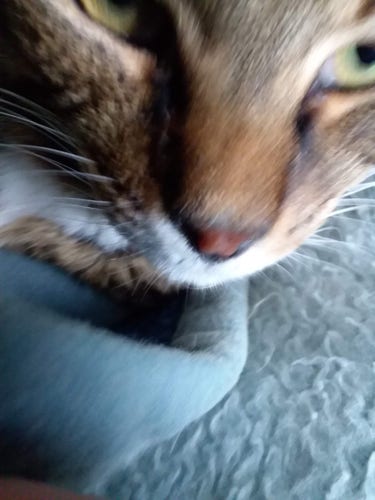 Ginza's face is slightly blurry in a photo taken with the phone close to her head.