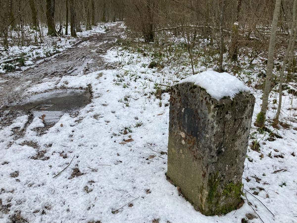 Border stone made of limestone, by a frozen path in a forest. Light snow lies on the ground. The stone is capped with fresh snow.