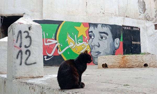 Sur un reste de colonne en béton peint en blanc, le graffiti 1312. À côté, un chat noir est assis paisiblement.
À l'arrière-plan, une fresque représentant un joueur du Mouloudia Club d'Alger. 