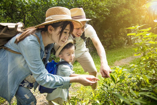 Parent Teaching Son about Nature and Plant Stock Photo - Image of hiking, leaf: 

dreamstime.com