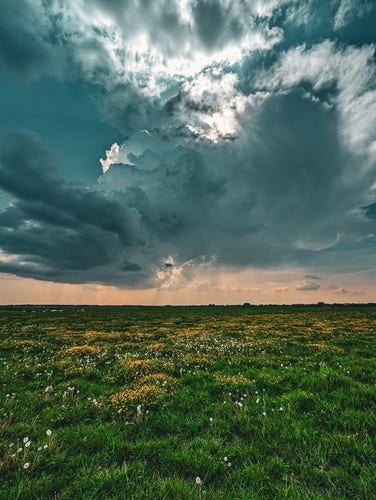 A thunderstorm passes over the meadows in the Eemnes polder.