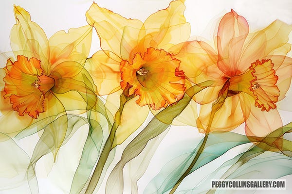 Artwork of three daffodils heralding spring, by artist Peggy Collins.