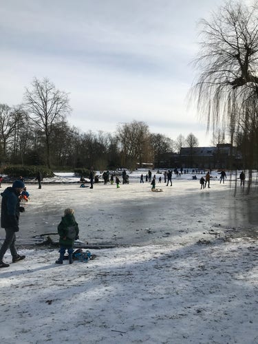 A frozen pond filled with people of all ages ice skating.