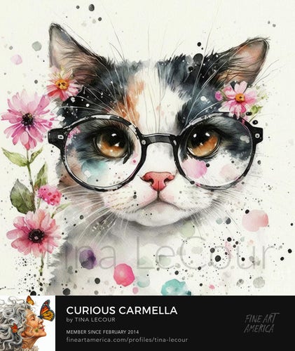 This is an adorable kitten named Carmella wearing big black glasses with daisy flowers.