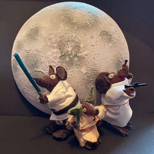Photo of Minimus, Minima and Silvius, the Latin mice, dressed as Luke Skywalker, Princess Leia and Yoda for Star Wars Day
