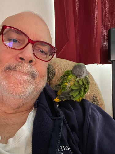 Bearded man in glasses with a parrot on his shoulder. The parrot is sleeping. The man is not.