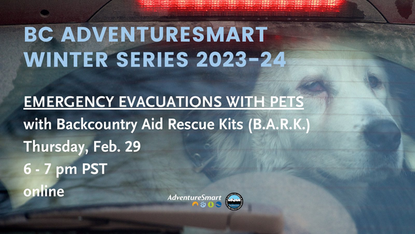 A dog looks out the rear window of a car as viewed from the outside.  The dog looks sad and the brake light is lit just above his head.

In writing overtop:
BC ADVENTURESMART WINTER SERIES 2023-24

EMERGENCY EVACUATION WITH PETS
with Backcountry Aid Rescue Kits (B.A.R.K)
Thursday, Feb 29
6-7pm PST
online

underneath, very small, you can spy the Adventuresmart logo and the BC Search and Rescue Association logo.