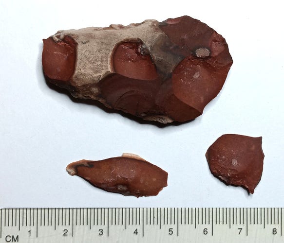Red heat-treated chert blank with several potlid scars & 2 potlid flakes lying nearby.