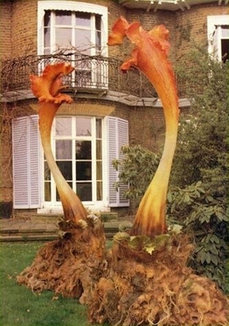 Some triffids