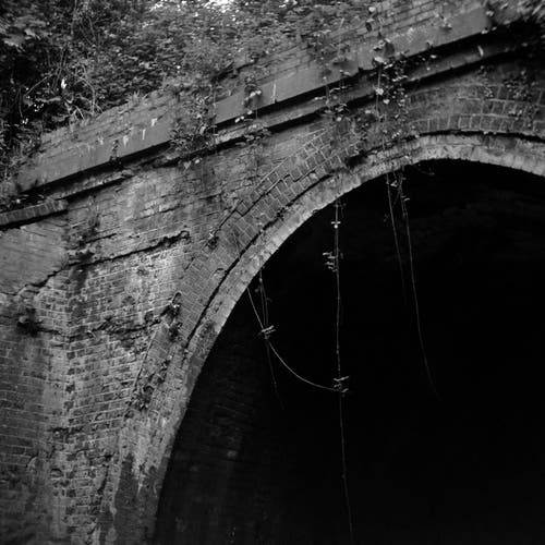 A black and white photo of the entrance to an abandoned railway tunnel with ivy and vines hanging down from the bricks above. 
