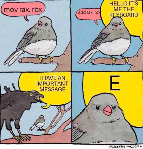 panel 1: bird saying "mov rax, rbx"
panel 2: bird saying "add rax, rc-" and getting interrupted "Hello it's me the keyoard"
panel 3: crow screaming "I have an important message"
panel 4: Bird looking dismayed as crow screams "e"