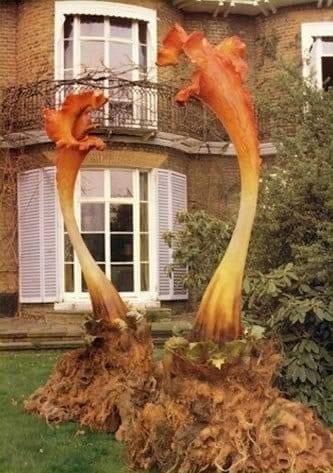 Image of two Triffids on a lawn. 
