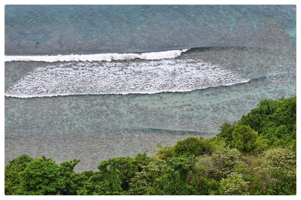 Bild aus der Höhe auf ein Meeresufer. Wellen zeichnen das blaue Meer weiss. Ufer ist von Wald überwachsen.