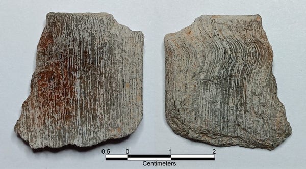 Dorsal & ventral views of a wood-grain striped pale gray & medium gray squarish tabular pebble. The dorsal side has an area of dark red of possible ferric oxide stain.