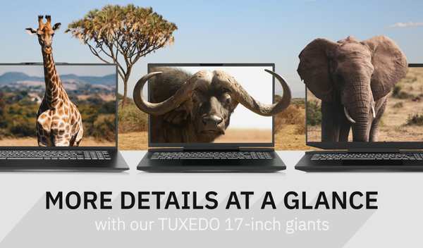 More details at a glance with our tuxedo 17-inch giants