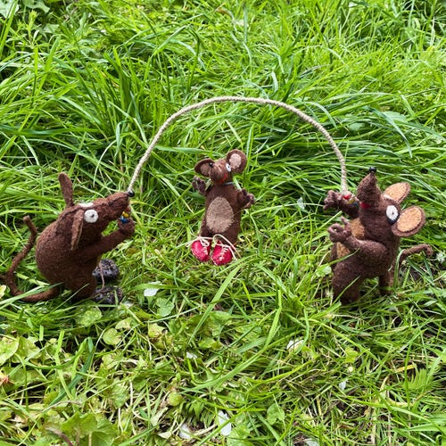 Photo of Minimus, Minima and Silvius, the Latin mice, in the garden. Silvius is skipping while his parents turn the rope for him. They are chanting a traditional skipping rhyme to mark World Skipping Day
