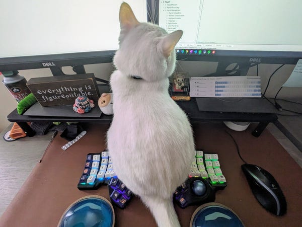 A white cat sits on a desk in between two halves of a BastardKeyboard's Charybdis split ergonomic keyboard. The cat is facing the computer monitor and away from the camera.
