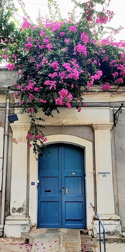 Bougainvillea blooming over a balcony. Blue door of a house named Ressuscite in Pondicherry.