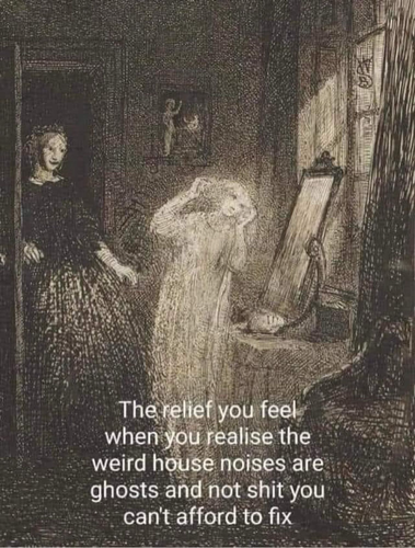 A pale ghostly figure is in the foreground. A Victorian-looking  lady stands in the doorway looking fondly upon the ghostly figure. The caption reads "the relief you feel when you realise the weird house noises are just ghosts, and not shit you can't afford to fix"