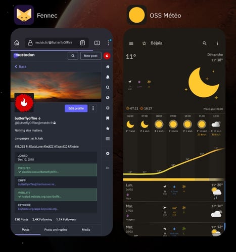 Mastodon on Fennec F-Droid browser and OSS Weather app.