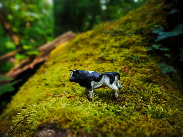 A small black and white plastic ox standing on a mossy log.