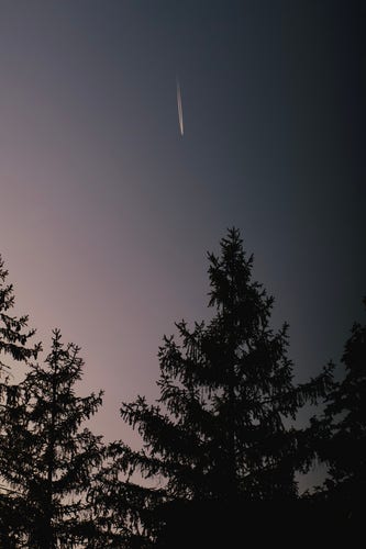 Vertical orientation, color photo just after sundown. Lower frame pine trees are silhouetted against a faded pink sky that slowly transitions to pale purple left frame. Top center a microscopic jet plane is very high up with exhaust streaking from its rear as if it were falling down to the earth.