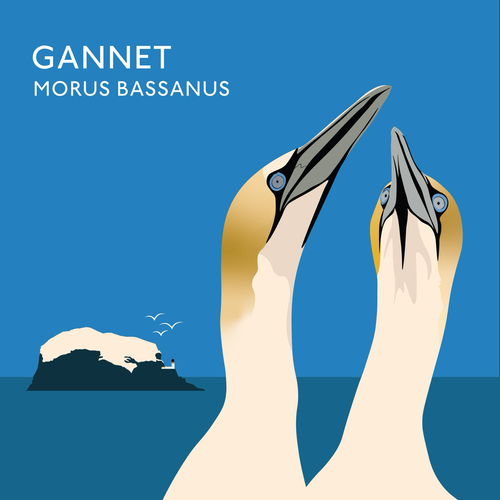Illustration of two gannets in foreground with Bass Rock in background 