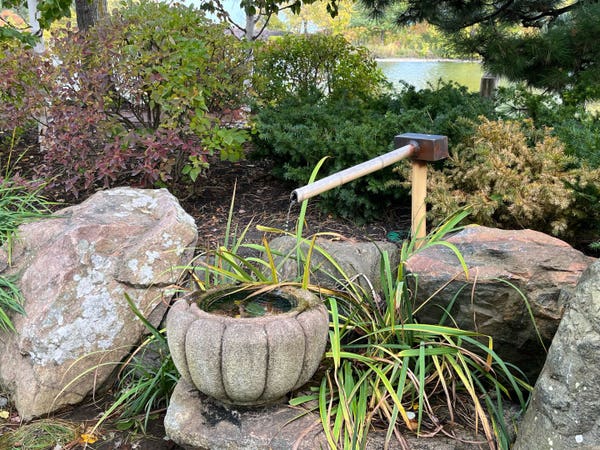 A quiet scene in a Japanese style garden with a bamboo fountain pouring into a stone base with a pond in the background.
