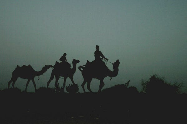 A digital photo of a silhouette of three camels at dusk in India 