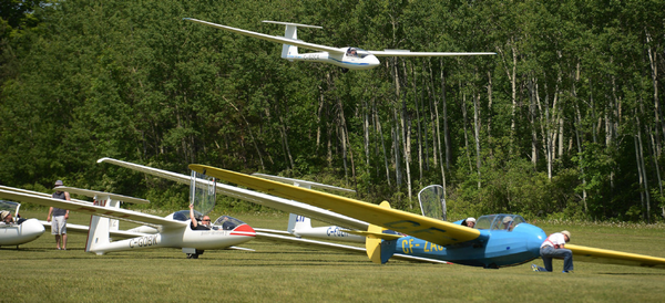 Five gliders on the flight line and one landing with airbrakes extended.