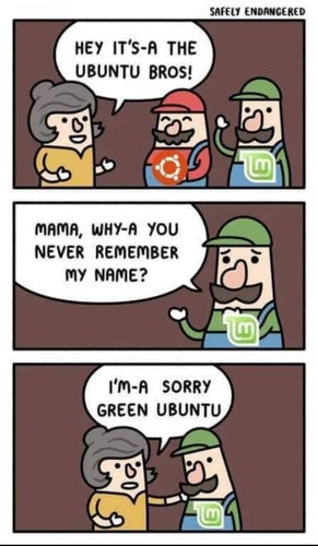 Mario as Ubuntu and hes brother Luigi as Linux-Mint stans bovor there mother:

Mother: Hey it'-s a the Ubuntu bros.
Linux-Mint: Mama, why-a you are never remember my name?
Mother: I'm-a sorry grean Ubuntu.