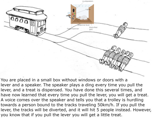 An image of the classic trolley problem graphic. However, the character you act as has been replaced with a rat in an operant conditioning box. Captioned:
"You are placed in a small box without windows or doors with a lever and a speaker. The speaker plays a ding every time you pull the lever, and a treat is dispensed. You have done this done this several times, and have now learned that every time you pull the lever, you will get a treat. A voice comes over the speaker and tells you that a trolley is hurdling towards a person bound to the tracks traveling 50km/h. If you pull the lever, the tracks will be diverted, and it will hit 5 people instead. However, you know that if you pull the lever you will get a little treat."
