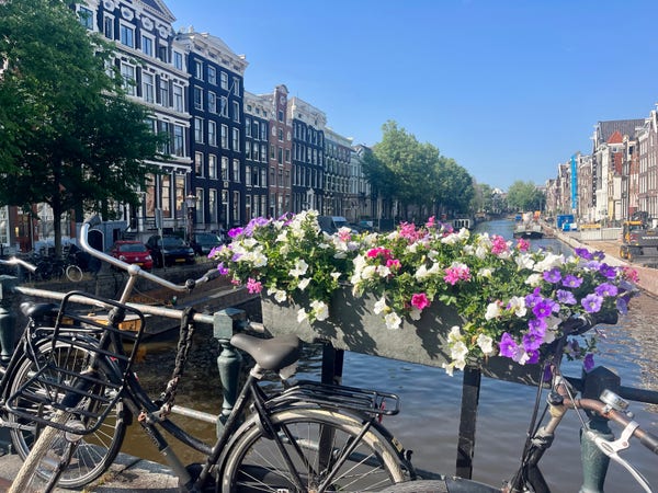 Black bikes and a flowerbox on a bridge across an Amsterdam canal, with traditional houses stretching away on both sides