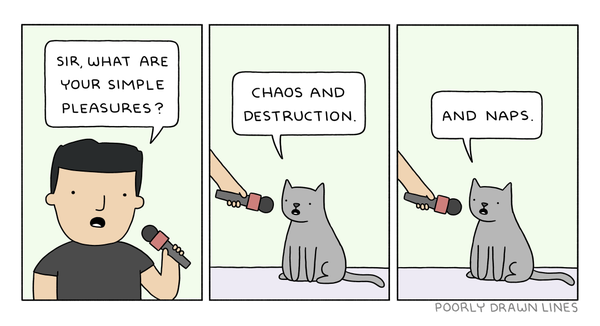 A three-panel cartoon where a guy is interviewing a cat.
Guy: "Sir, what are your simple pleasures?"
Cat: "Chaos and destruction." [pause] "And naps."