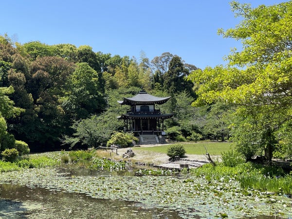 Pond and pagoda