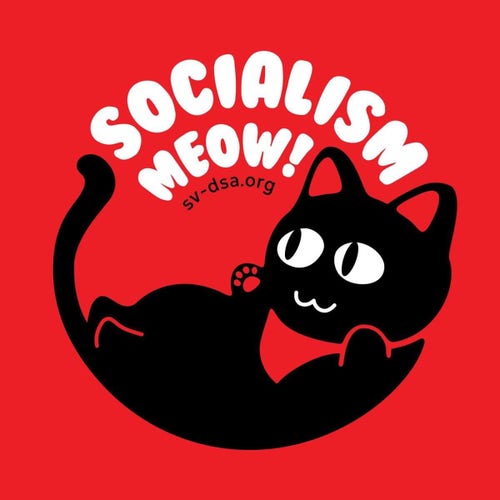 A cartoon of a black cat curled up against the red background and wearing a red bandanna. The caption says "socialism meow!" with the URL sv-dsa.org below the caption