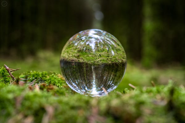 Lensball refracting glass ball on forest floor with reflection of forest inverted in the glass. trees in background