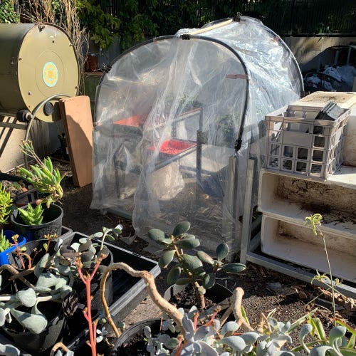 A small DIY hoop house covered in clear plastic sheeting