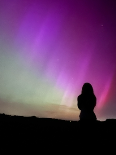 Woman looking across a field at the northern lights. Person is silhouette, sky is pink and green
