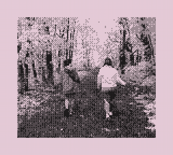 Photo of two women walking through a forest, side by side, highly pixelated