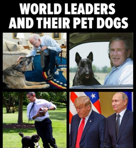 4 pictures, showing WORLD LEADERS and their PET DOGS
President Biden petting his new dog "Commander', President Bush driving with his English Springer Spaniel named Spot and Obama playing ball with his Portuguese Water Dog, Bo. The last president and world leader President Putin with his dangerous dog breed, the Donald Trump