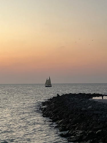 A sailboat on the Florida gulf at sunset with a rocky shoreline in the foreground and a twilight sky in the background. Birds can be seen flying above.