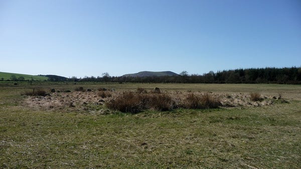 Landscape shot of the low stones of the circle, which stand in a flat field in a ring of reedy grass that is taller than the stones. The skyline is dominated by a prominent hill with two peaks separated by a saddle. There is a forest in the background on the right. The sky is clear blue and it's warm.