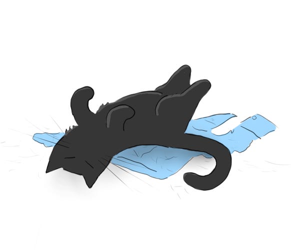 A cartoon of a black cat asleep on his back, on top of a light blue shirt.