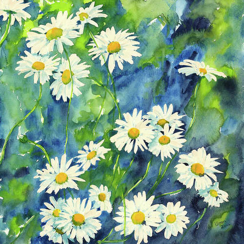 Daisies is a watercolor painting in contemporary square format painted by artist Karen Kaspar. It shows beautiful white daisies in a fresh green summer garden or meadow. The beautiful delicate wildflowers are dancing in the summer wind. 