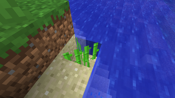 Minecraft sugar cane planted at the same level as the water