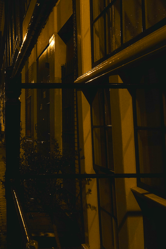 Nighttime shot of detail of old Amsterdam buildings next to each other featuring door and window frames and cast iron railings. A large pkant can also be seen in the lower part of the frame. The light is an orange-y yellow.