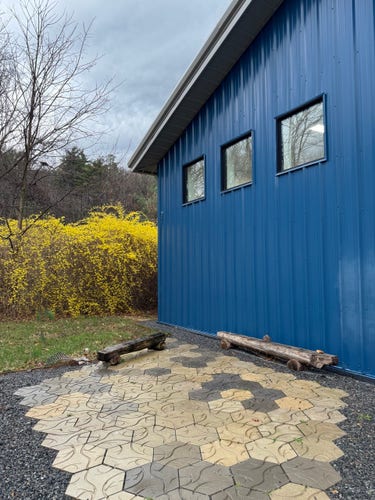 View of my art studio on a rainy day. a blue metal building, next to a giant blooming forsythia bush covered in yellow flowers